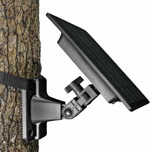 Solar Panel on Tree
